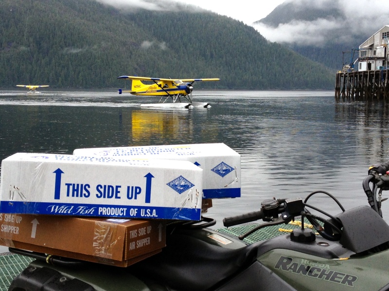 The Highliner Lodge in Pelican seems to be a great place to go for a fishing adventure.  The halibut and salmon photos were from their charters.  They were cleaning fish and packing 100's of pounds of filets in boxes to ship via float plane back with their guests.