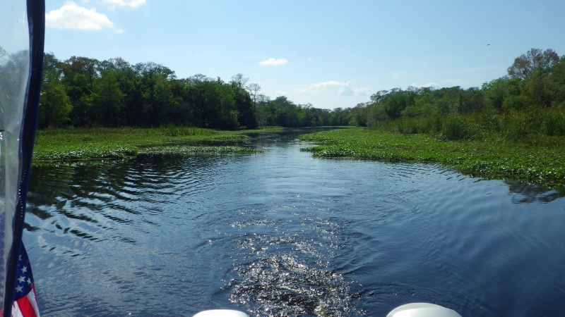 The Hontoon Dead River dies here