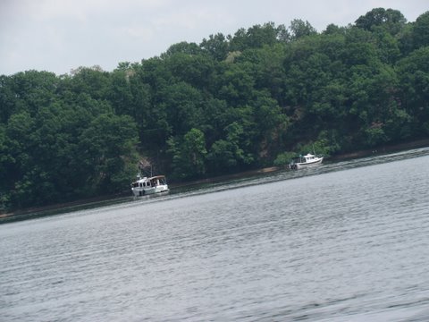 The last anchorage behind Knight Island in Back Creek off the Sassafras river