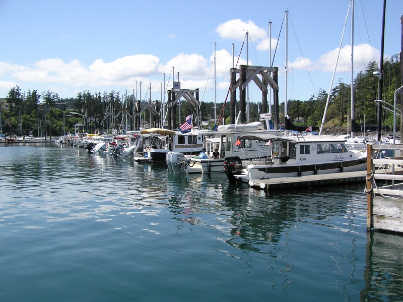 The line up on dock "H".