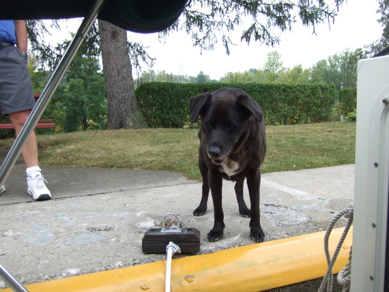 The lock dog "Blue" looking for a handout