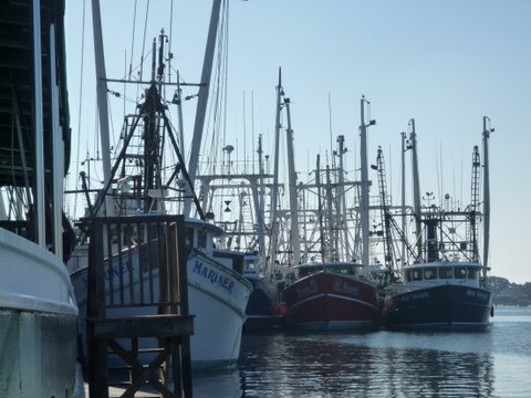 The Loster house's Cape May fishing fleet