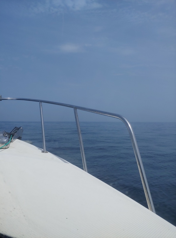 The Mexican Gulf