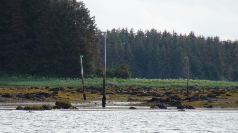 The pass between Swanson Harbor & Couverden Harbor during low tide