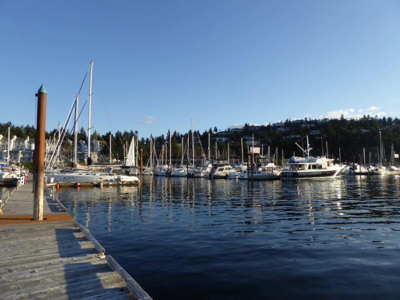 The quiet Schooner Cove marina.  Glad I passed on the busier and noiser Silva Bay and Nanaimo and stayed here!