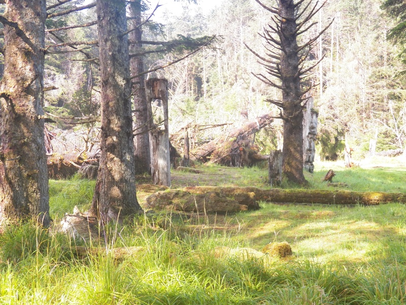 The rear mortise post of this longhouse is still standing.