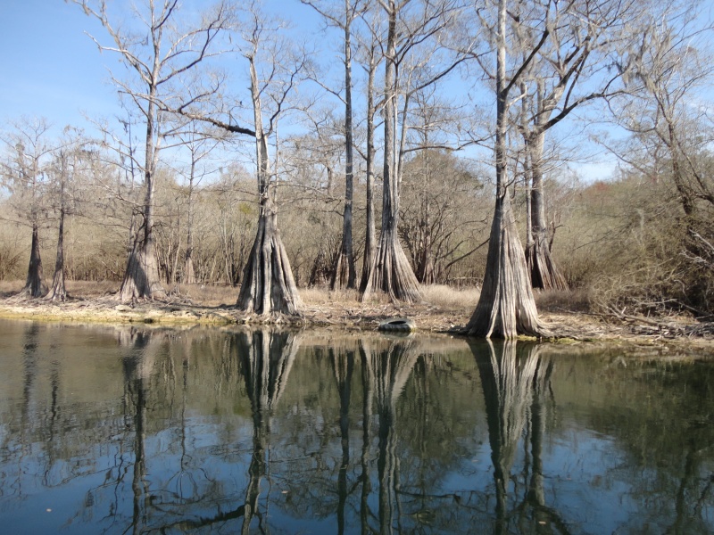 The Sante Fe River