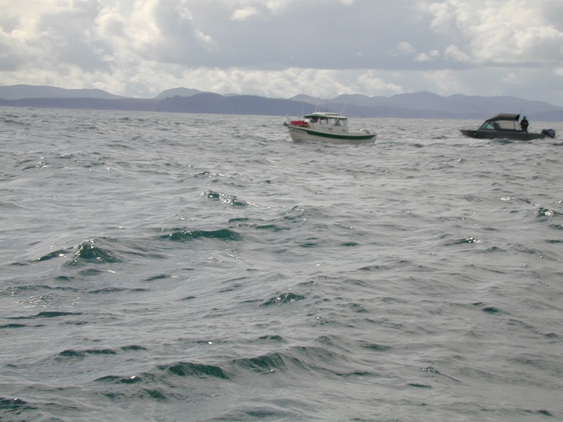 The second of three C-Dory's I saw at Neah Bay for the halibut openor.  Who are you?