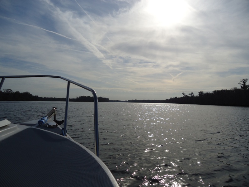 The Suwannee is big at the mouth