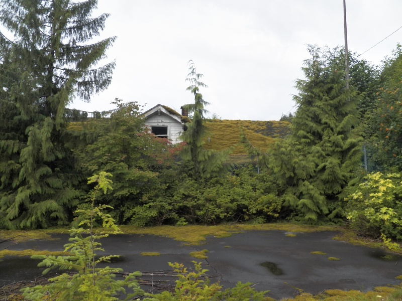 The tennis court at Ocean Falls.