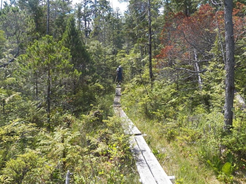 The trail was well maintained.  Not all of it was a easy as this boardwalk through marshland.