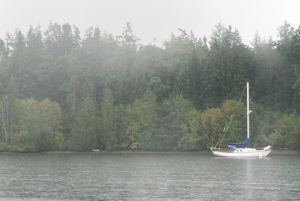 The trees starting to turn color at Blind Bay