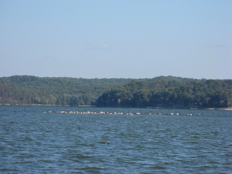 The two channels are separated by large areas of very shallow water.