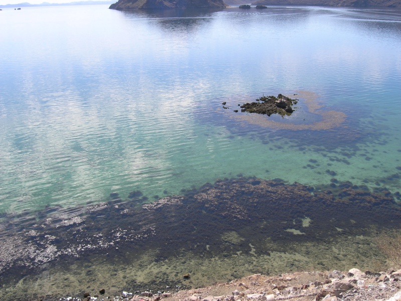 The water in the Sea of Cortez can be stunningly clear