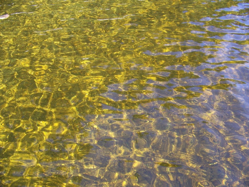 The water takes on a golden hew as a result of the tree tannins as the water feeds through the surrounding cedar swamps and bogs.