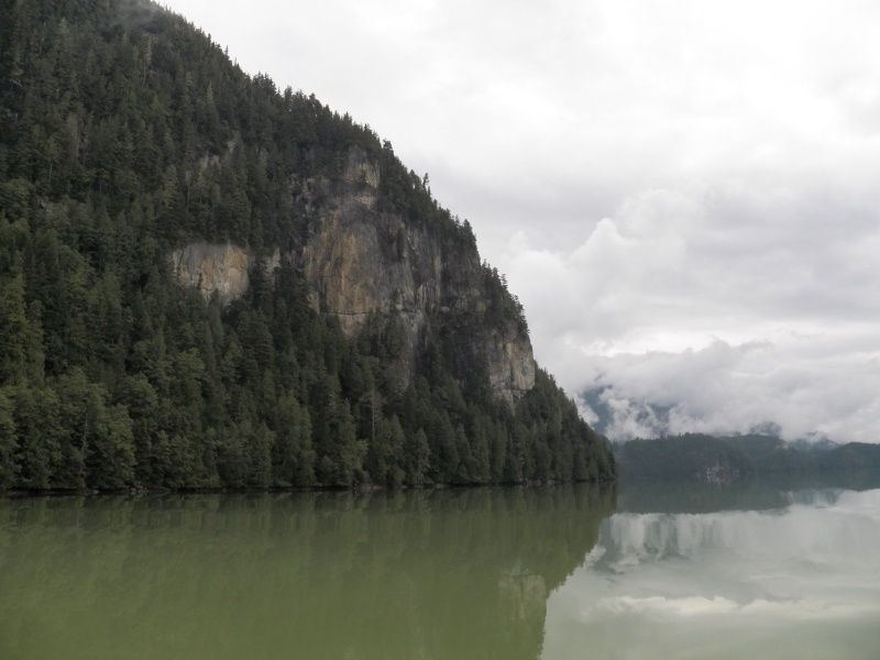 The water was actually this color.  I don't know if it was an algae bloom or what.  The river running into the head of the Sound was a clear little trickle, so it wasn't that.