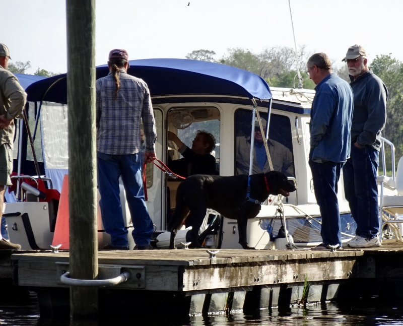 There is always lots of help when a boat "backs in"--even the dogs get in on the action.