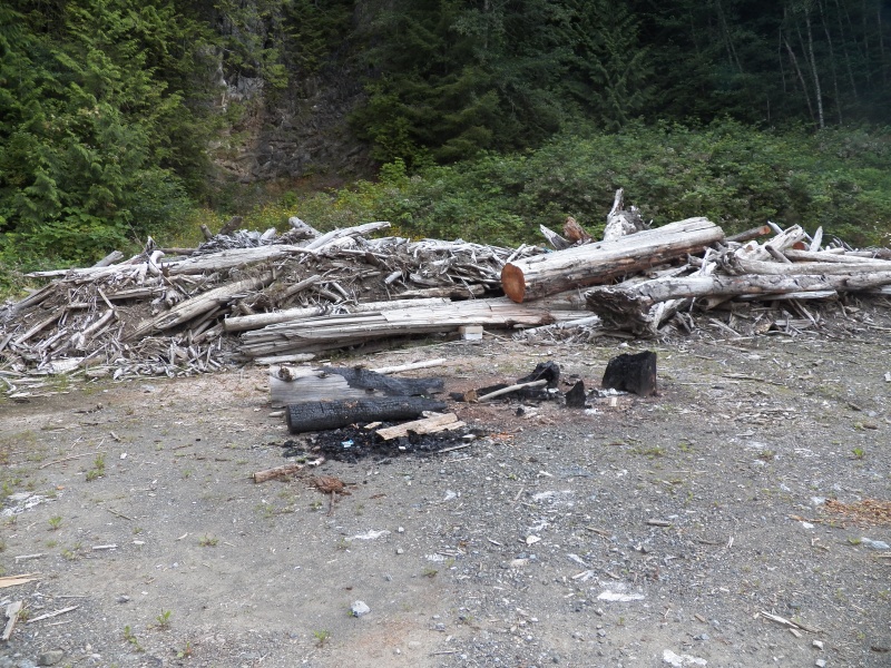There was a picnic area and BBQ with free firewood.