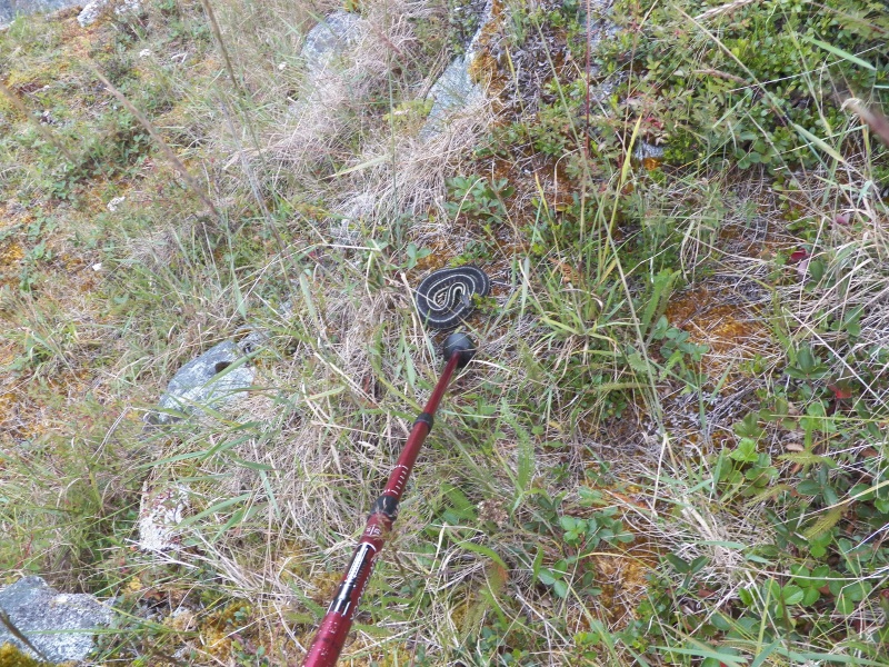 There were also lots of garter snakes sunning themselves.  This might be the biggest I've ever seen.  It's a big one when it coils to strike instead of just slithering away.