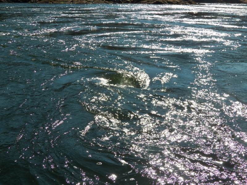 There were basketball size whirlpools around.