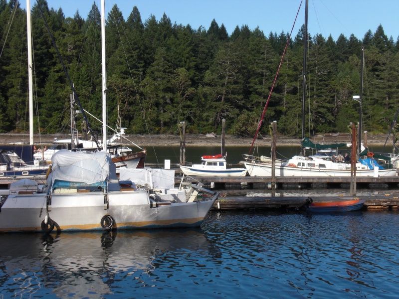 Thetis Island marina.