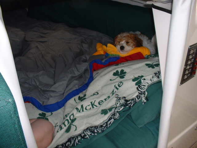 This boating stuff is hard work!