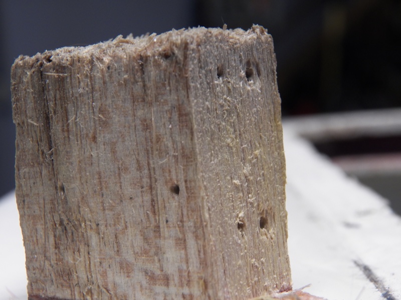 This is a piece that I coated with penetrating epoxy a week before.  Penetrating epoxy soaks in to rotten wood, but barely penetrates good wood.  This wood, although water saturated and stained, was good.  One problem with applying penetrating epoxy too soon is that it can hold moisture in.  The piece (showing the puncture wounds made by my moisture meter) was still at 26% when some of uncoated pieces that I had torn out were already down to 18%, so I have to be very patient and let this dry out.