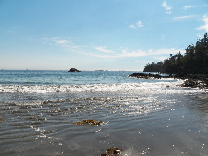 This is the "surf" from the Pacific swell.  I found a sand dollar, but being as it was Canadian, it was really only 78 cents.