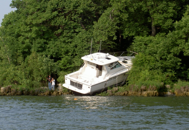 "This looks like a good place to park!  Maybe we can buy some more beer here!"