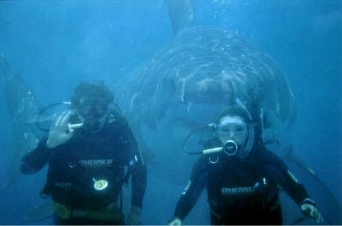 This subject confused the gestures of the camera man as waving hello.