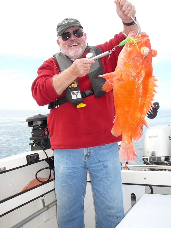 This yelloweye was 12lbs. We kept two caught while jigging for ling cod.