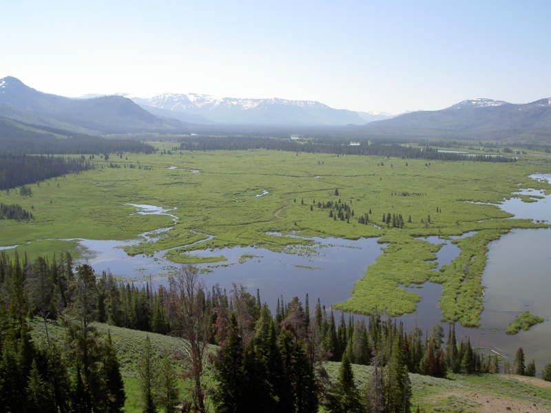 Thorofare Valley south of Yellowstone Lake