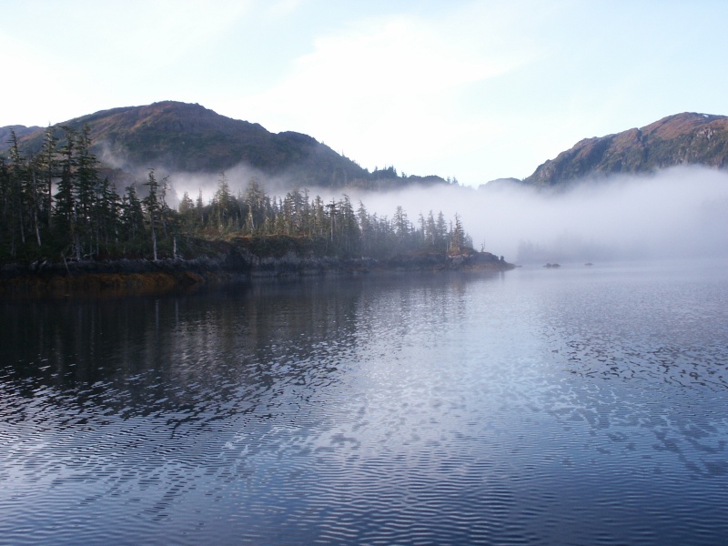 Three Finger Cove. Early AM as the fog burns off