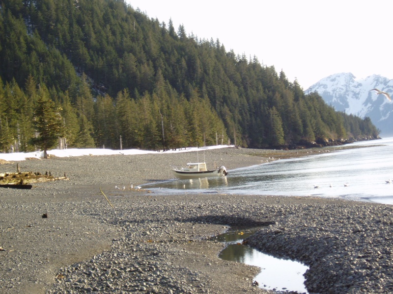 Thumb Cove spring 04'