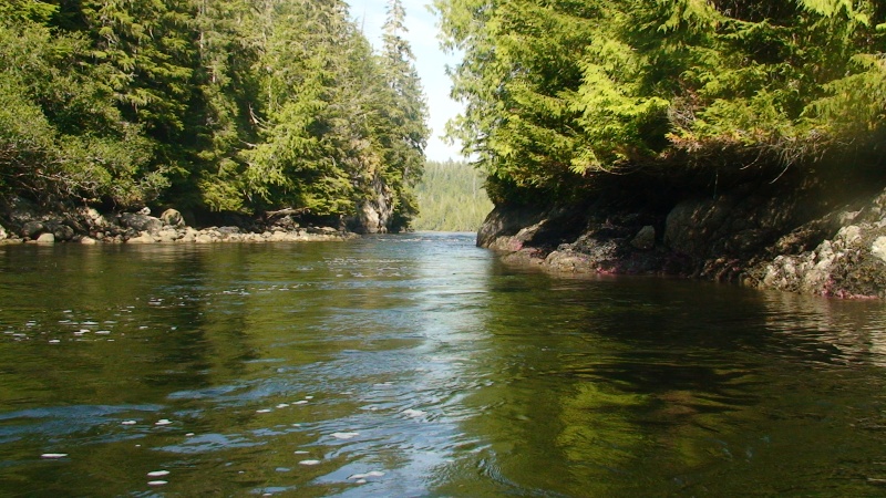 Tidal rapid at entrance to Bradley Lagoon at Blunden Harbour.