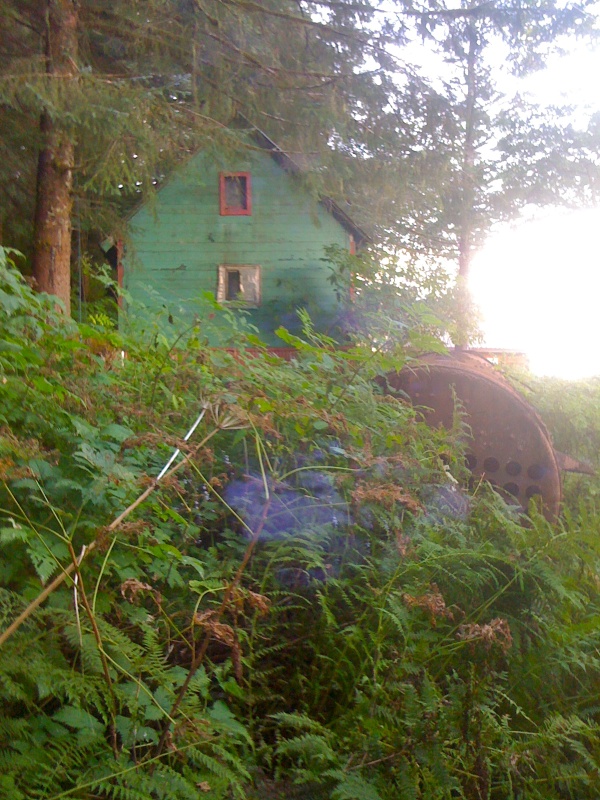 Tiger Olson's home & derelict boiler