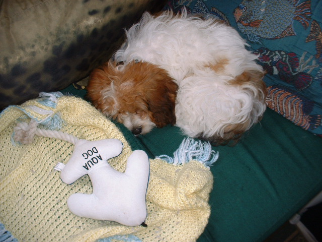 Time for a little nap.
