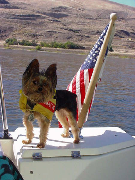 Tiny, the guard dog