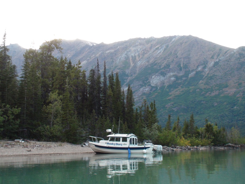 To shore Williston Inlet, Atlin Lake