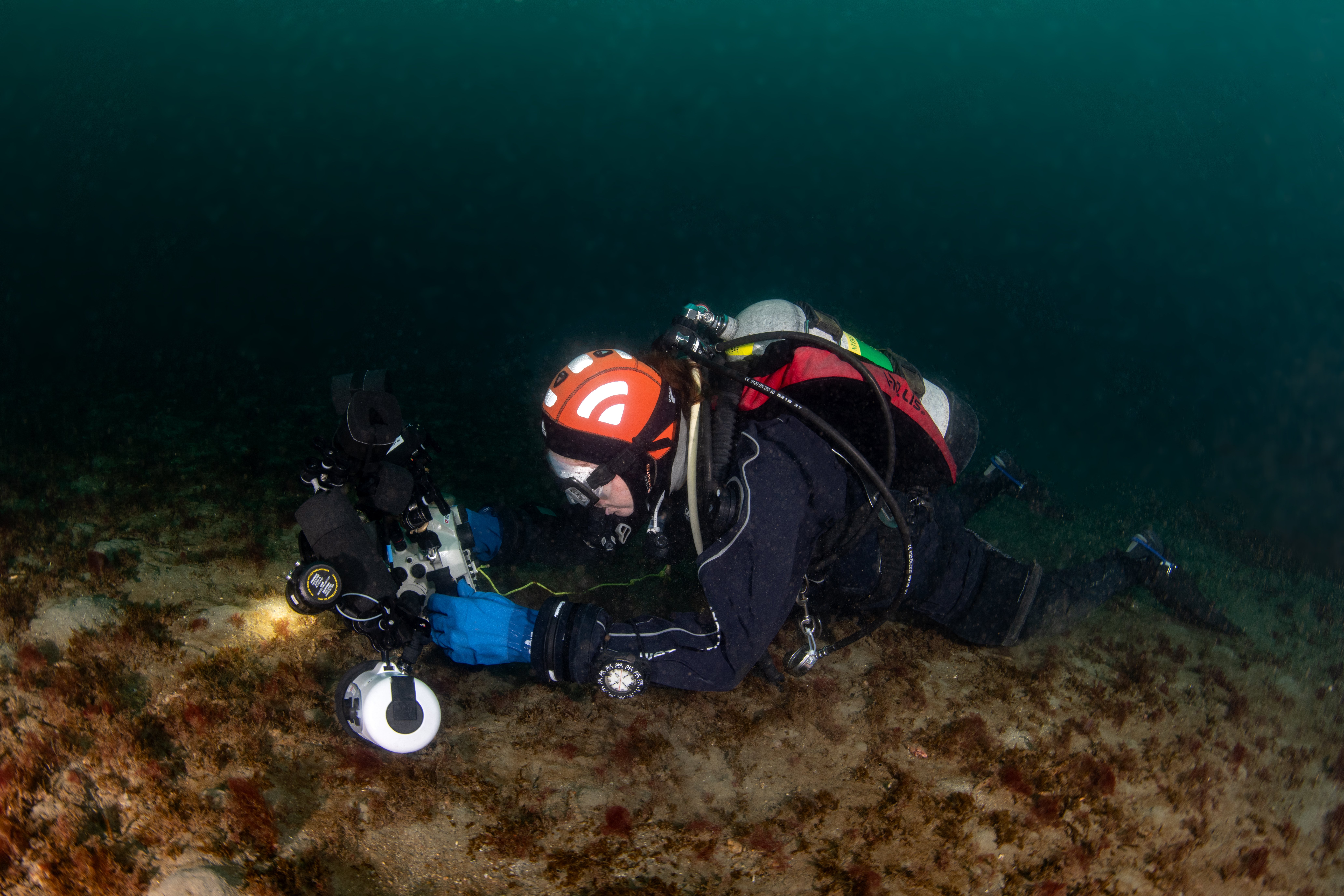 Topaz Deep DSC_8958.jpg