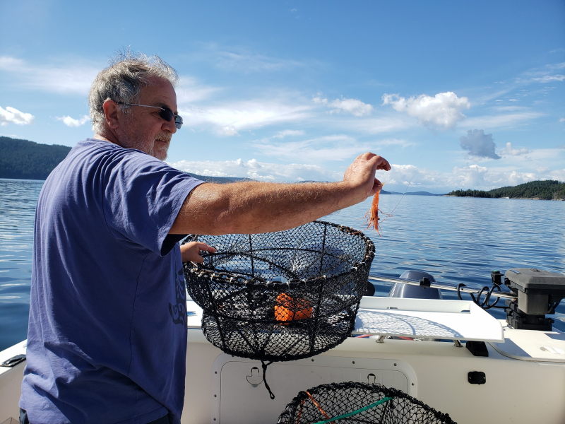 Total haul after getting the traps stuck on the bottom during a wind storm. I let him go...