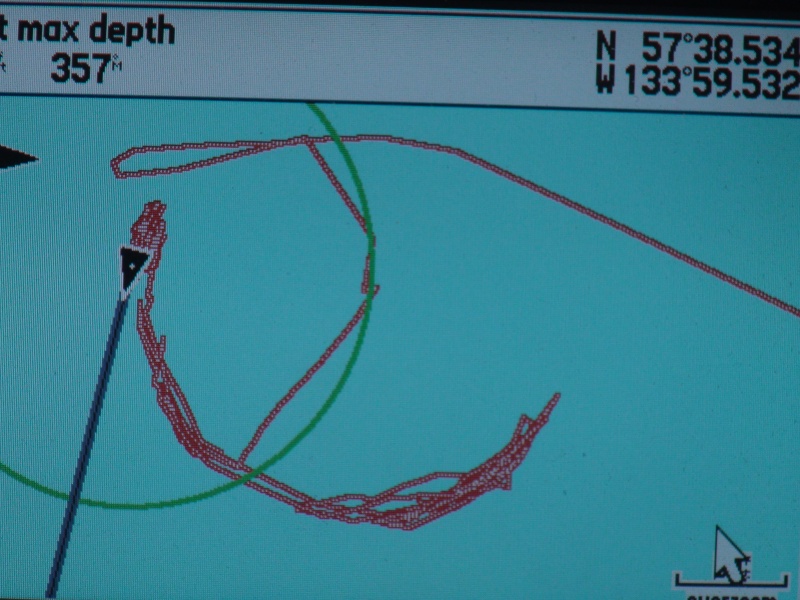 tracks of Hunkydory at anchor