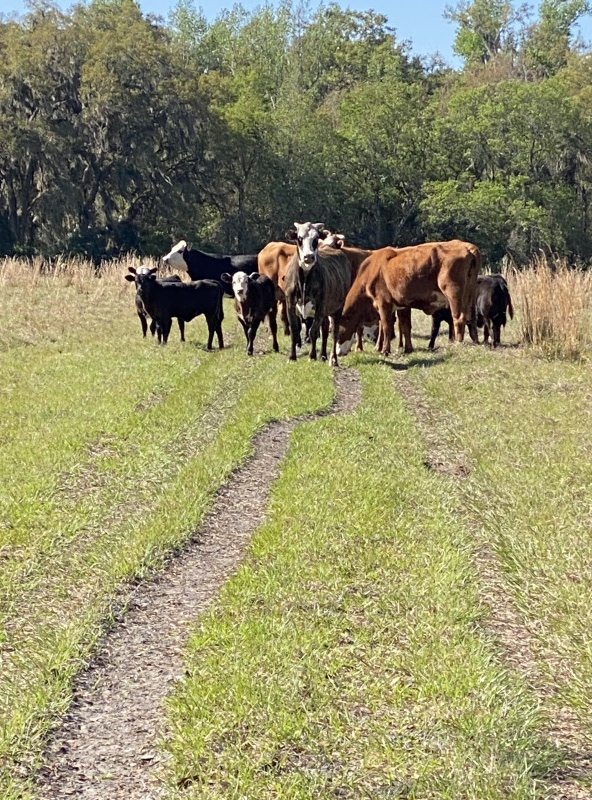 Trail run standoff &#128512;