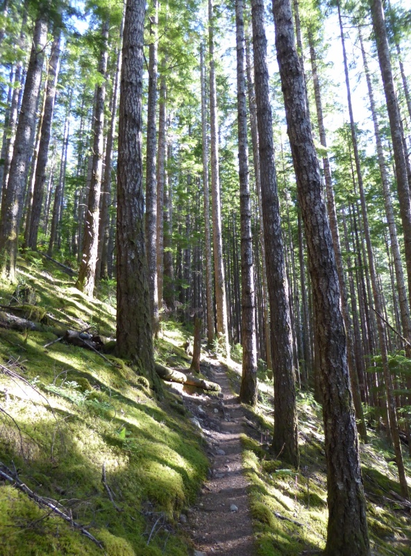 Trail to Newton Lake