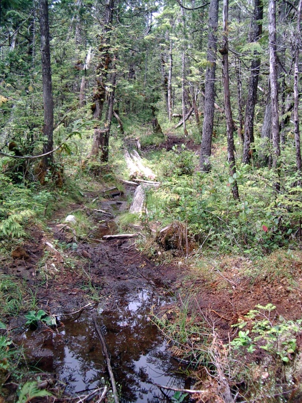 trail to Sagar Lake