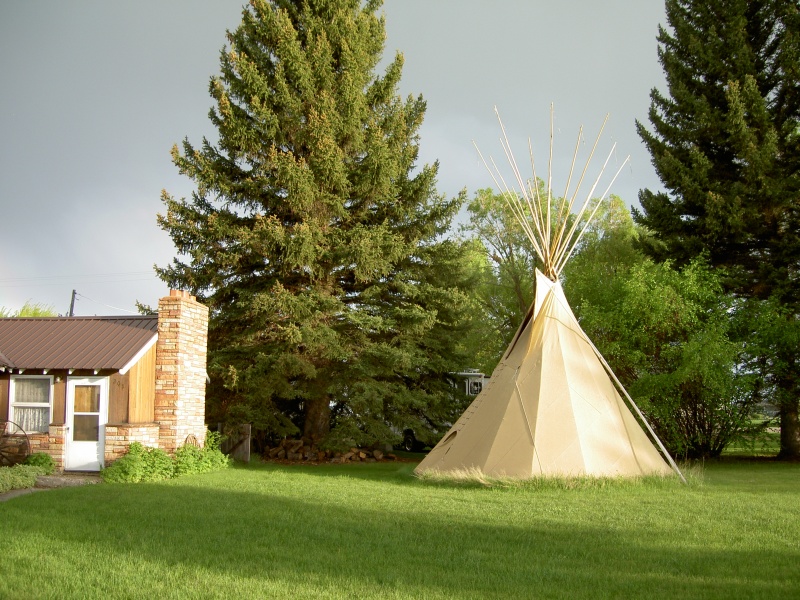Tree to right of TeePee is Nesting Tree