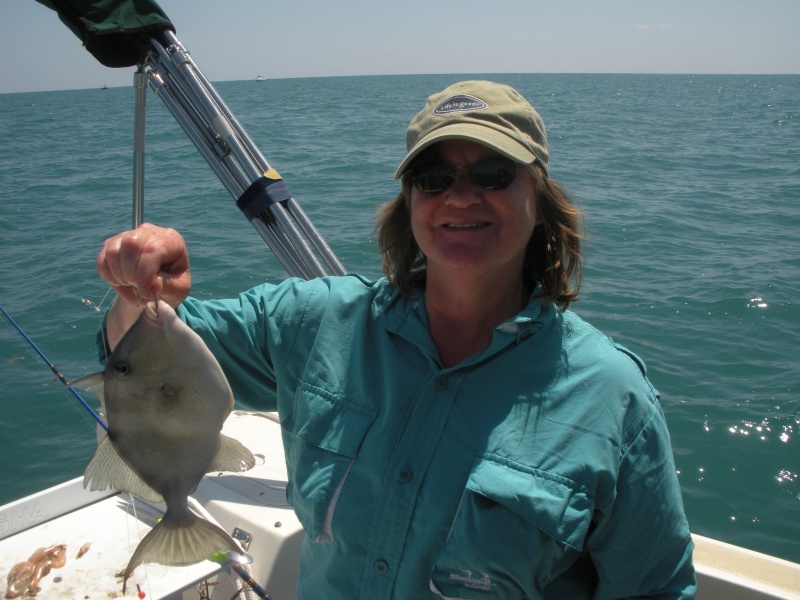 Triggerfish.  Very tasty.