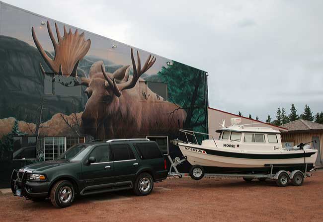 Two Big Moose