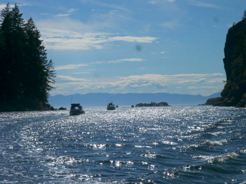 (TwoLuckyFish) Gorge Harbor 3