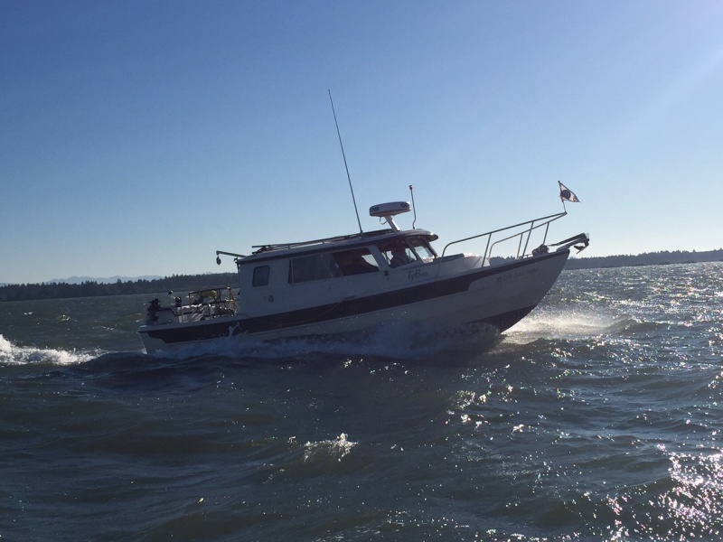 Tyboo Crabbing in an East wind, Columbia R
Nov., 29,  2015